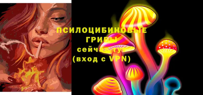 MEGA   Нефтекамск  Псилоцибиновые грибы Magic Shrooms 